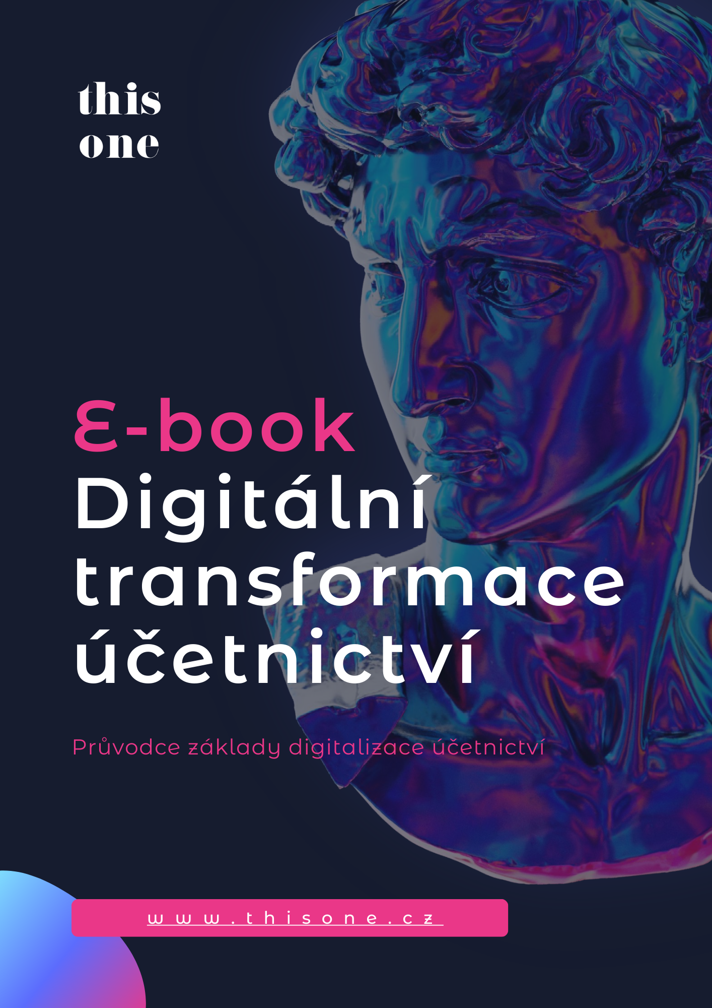 E-book digitalizace účetnictví
